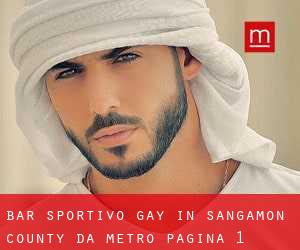 Bar sportivo Gay in Sangamon County da metro - pagina 1