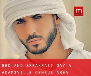 Bed and Breakfast Gay a Adamsville (census area)
