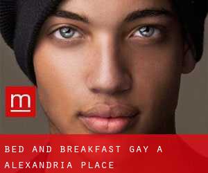 Bed and Breakfast Gay a Alexandria Place