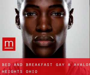 Bed and Breakfast Gay a Avalon Heights (Ohio)