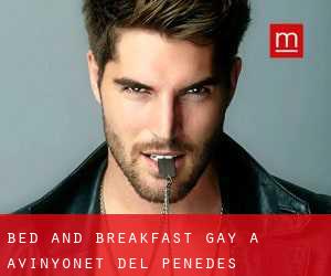 Bed and Breakfast Gay a Avinyonet del Penedès