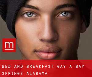 Bed and Breakfast Gay a Bay Springs (Alabama)