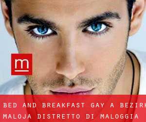 Bed and Breakfast Gay a Bezirk Maloja / Distretto di Maloggia