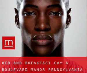 Bed and Breakfast Gay a Boulevard Manor (Pennsylvania)