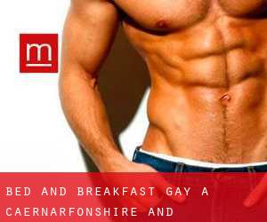 Bed and Breakfast Gay a Caernarfonshire and Merionethshire