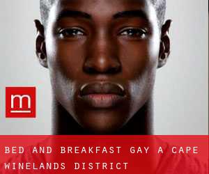 Bed and Breakfast Gay a Cape Winelands District Municipality