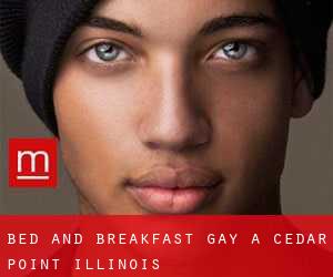 Bed and Breakfast Gay a Cedar Point (Illinois)