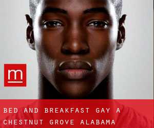 Bed and Breakfast Gay a Chestnut Grove (Alabama)