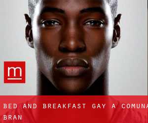 Bed and Breakfast Gay a Comuna Bran