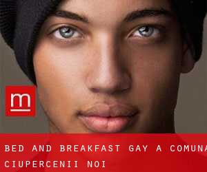 Bed and Breakfast Gay a Comuna Ciupercenii Noi