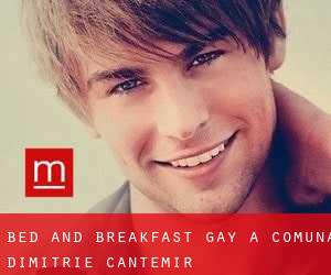 Bed and Breakfast Gay a Comuna Dimitrie Cantemir