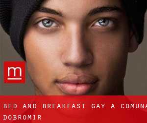 Bed and Breakfast Gay a Comună Dobromir
