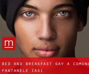 Bed and Breakfast Gay a Comuna Fântânele (Iaşi)