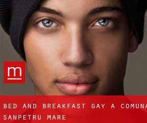 Bed and Breakfast Gay a Comuna Sânpetru Mare