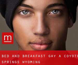 Bed and Breakfast Gay a Coyote Springs (Wyoming)