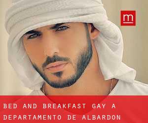 Bed and Breakfast Gay a Departamento de Albardón