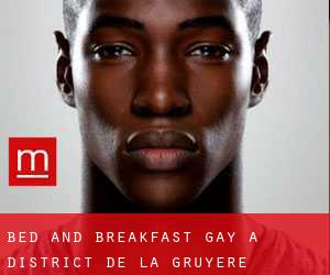 Bed and Breakfast Gay a District de la Gruyère