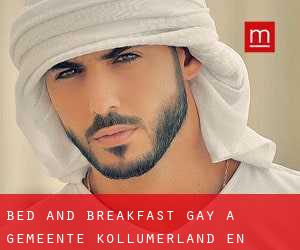 Bed and Breakfast Gay a Gemeente Kollumerland en Nieuwkruisland