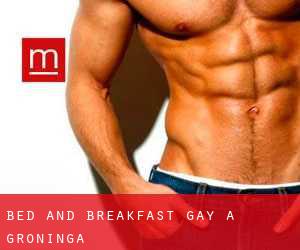 Bed and Breakfast Gay a Groninga