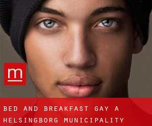 Bed and Breakfast Gay a Helsingborg Municipality