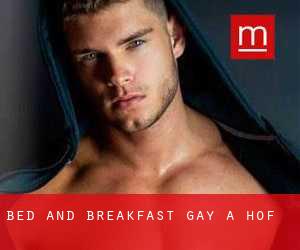Bed and Breakfast Gay a Hof