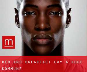 Bed and Breakfast Gay a Køge Kommune