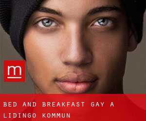 Bed and Breakfast Gay a Lidingö Kommun
