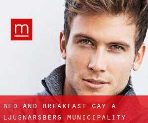 Bed and Breakfast Gay a Ljusnarsberg Municipality