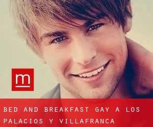 Bed and Breakfast Gay a Los Palacios y Villafranca