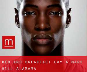 Bed and Breakfast Gay a Mars Hill (Alabama)