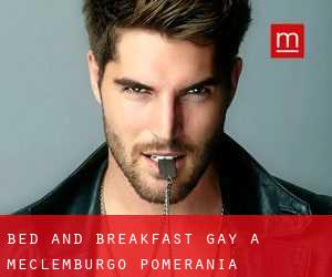 Bed and Breakfast Gay a Meclemburgo-Pomerania Anteriore