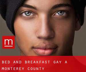 Bed and Breakfast Gay a Monterey County