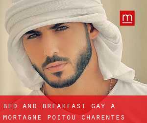 Bed and Breakfast Gay a Mortagne (Poitou-Charentes)