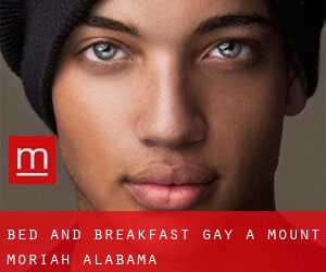 Bed and Breakfast Gay a Mount Moriah (Alabama)