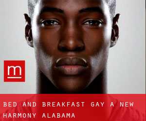Bed and Breakfast Gay a New Harmony (Alabama)