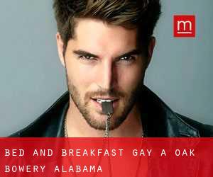 Bed and Breakfast Gay a Oak Bowery (Alabama)