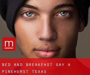Bed and Breakfast Gay a Pinehurst (Texas)
