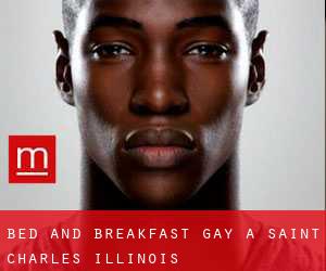 Bed and Breakfast Gay a Saint Charles (Illinois)