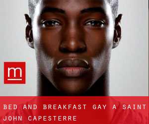 Bed and Breakfast Gay a Saint John Capesterre
