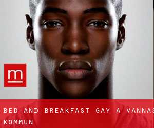 Bed and Breakfast Gay a Vännäs Kommun