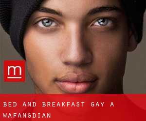 Bed and Breakfast Gay a Wafangdian