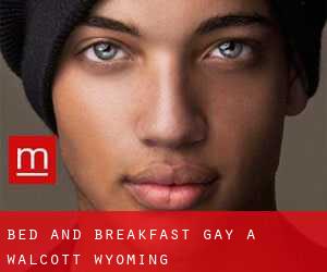 Bed and Breakfast Gay a Walcott (Wyoming)