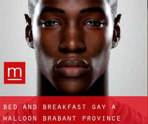Bed and Breakfast Gay a Walloon Brabant Province
