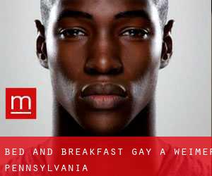 Bed and Breakfast Gay a Weimer (Pennsylvania)