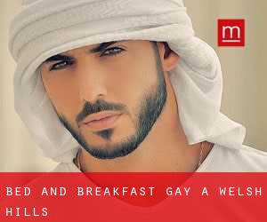 Bed and Breakfast Gay a Welsh Hills