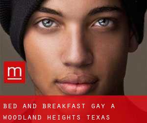 Bed and Breakfast Gay a Woodland Heights (Texas)