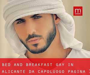 Bed and Breakfast Gay in Alicante da capoluogo - pagina 1