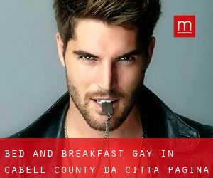 Bed and Breakfast Gay in Cabell County da città - pagina 1