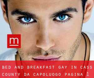 Bed and Breakfast Gay in Cass County da capoluogo - pagina 1