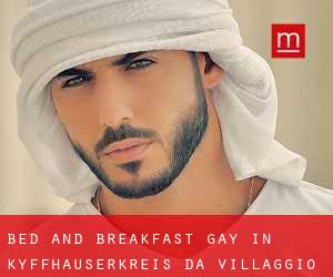 Bed and Breakfast Gay in Kyffhäuserkreis da villaggio - pagina 1